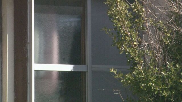 白骨化した遺体は同居の兄か 60歳女、死体遺棄の疑いで逮捕「火葬する金が無く放置した」 函館市 サムネイル