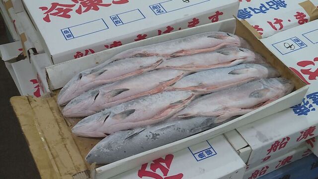 日ロサケ・マス漁交渉、昨年と同条件で妥結 漁獲枠2050トン、協力費は最大3億円あまり 来月から漁開始へ サムネイル