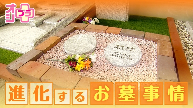 【オシプラ】進化するお墓事情とは！？愛するペットと入れるお墓に遺骨を使ったアクセサリーも登場