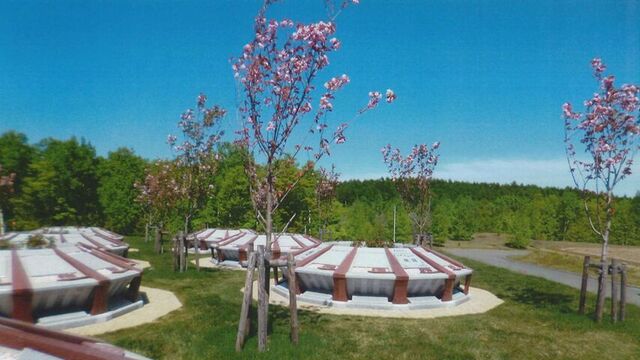 春になるとサクラが咲く滝野霊園の樹木葬