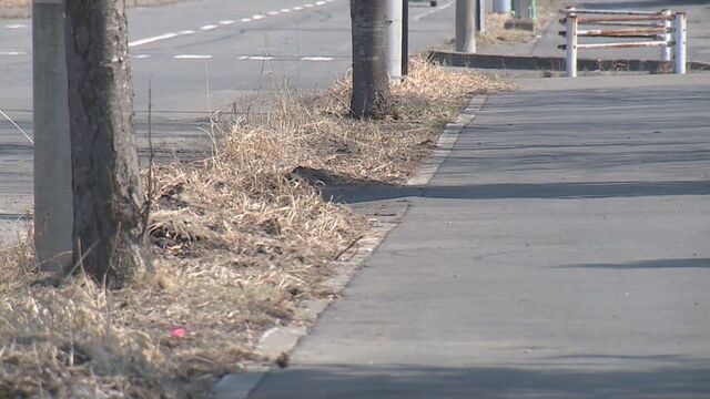 「適当に包丁を振るったら刺さった」面識ない男性の腹を刺し殺人未遂の疑い 共通の知人女性が現場に 苫小牧 サムネイル