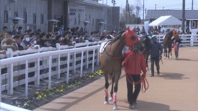 春の夜空を彩るダート競馬の祭典　ホッカイドウ競馬「グランシャリオナイター」開幕　日高町・門別競馬場 サムネイル