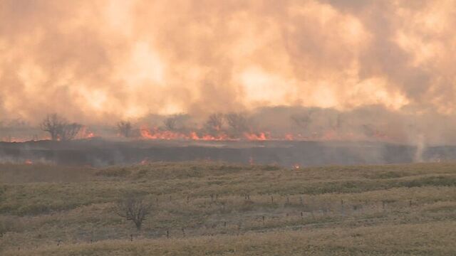 【続報】根室市で拡大続く野火　午後6時過ぎに約350人に避難指示　鎮火に至らず道は自衛隊に災害派遣を要請 サムネイル