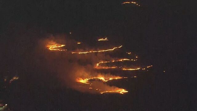 根室市の大規模な野火　