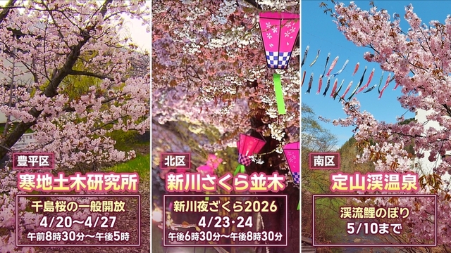 札幌市内そのほかの名所は