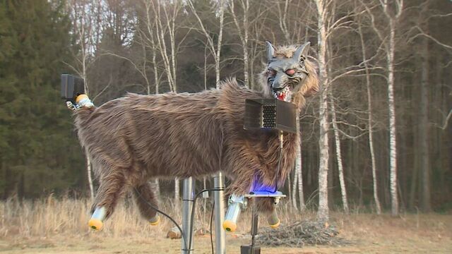 「騒音になる」弱点を克服し住宅街にも置けるようにした新型モンスターウルフ