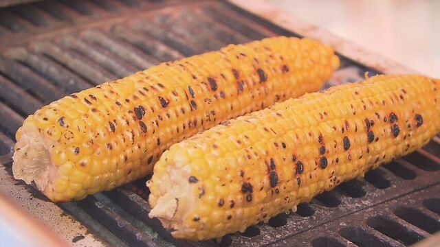 香ばしさに誘われて「甘い！」タレが進化　名物「とうきびワゴン」登場　さっぽろ大通公園