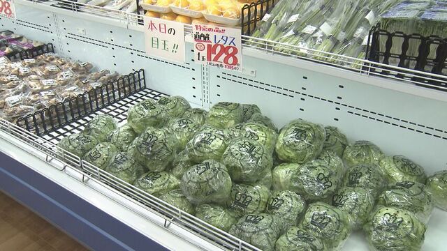 札幌・物価高騰続く中・・いまお買い得な野菜とその理由　しかし来月以降は値上がりも サムネイル
