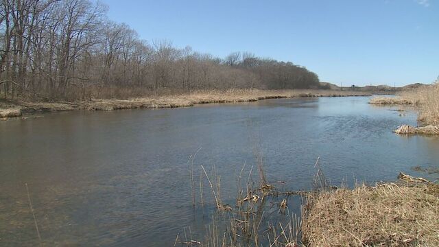 ラピダス周辺の開発制限に関する規制緩和　日本野鳥の会がウトナイ湖周辺への生態系への影響を懸念 サムネイル