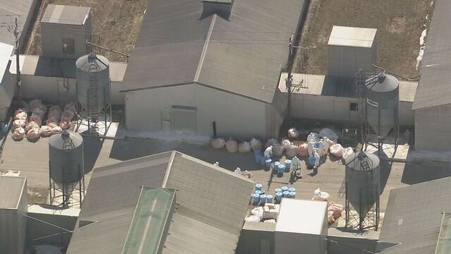 北海道千歳市の高病原性鳥インフル、新たな感染なければ26日に「移動制限区域」解除へ　監視は継続  サムネイル