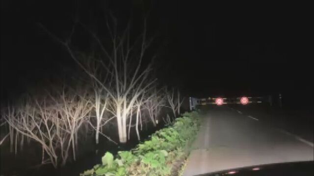 島牧村泊でハンターの６９歳男性　クマに襲われる　出血し病院に搬送　命に別状なし