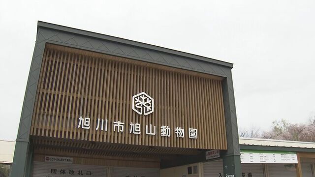 【中継】今の旭山動物園のようすは？　夏期営業初日が終了　来場者は去年より1000人ほど多い約5000人