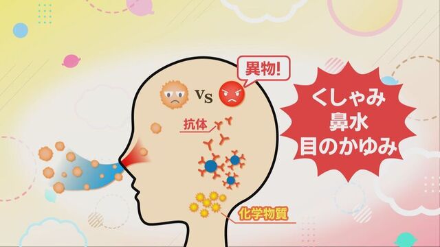 花粉症のメカニズム
