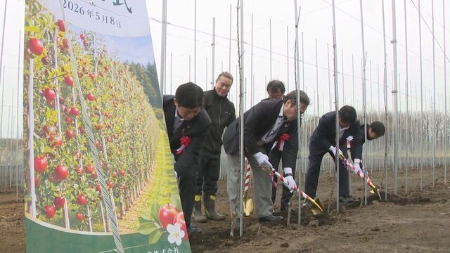 生産効率が通常の3倍！　室蘭市で小さな苗木を密植する「高密植栽培」が始動　新たな地域産業へ期待