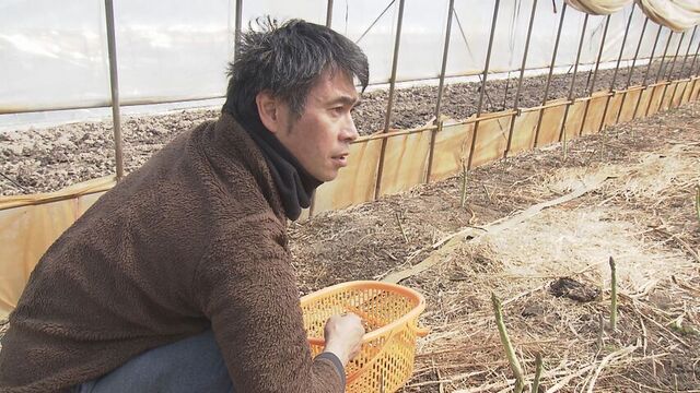 北海道・藤井ファーム・ラボ　安斎哲也統括管理部長