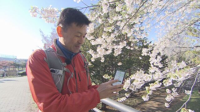 天神山緑地（札幌市豊平区）