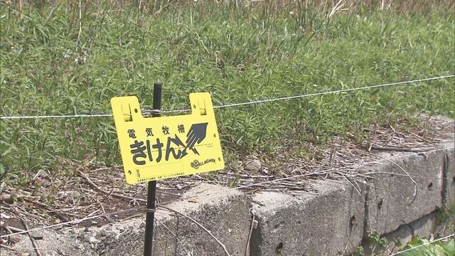 福島町が設置した電気柵