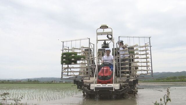 道産米「ゆめぴりか」田植えシーズン本格化　鈴木知事が田植え機を運転「食べて応援を」　由仁町 サムネイル