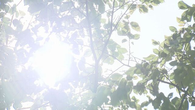 【連日の暑さ】札幌市に今年2回目の「食中毒警報」最高気温29.3度で注意呼びかけ サムネイル