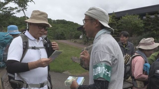 「可憐な花を盗掘しないで」貴重な高山植物の宝庫 北海道のアポイ岳で盗掘防止呼びかけ サムネイル