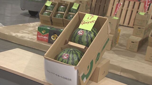 「らいでんスイカ」2玉40万円の過去最高値で落札!福祉会社が児童養護施設へ寄付 札幌で初競り サムネイル