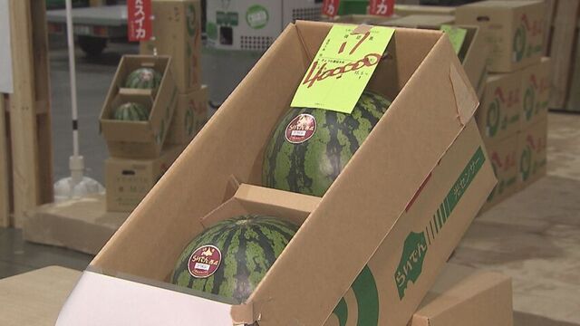 糖度13度超えの甘さ！「らいでんスイカ」初競りで過去最高値の2玉40万円を記録 サムネイル