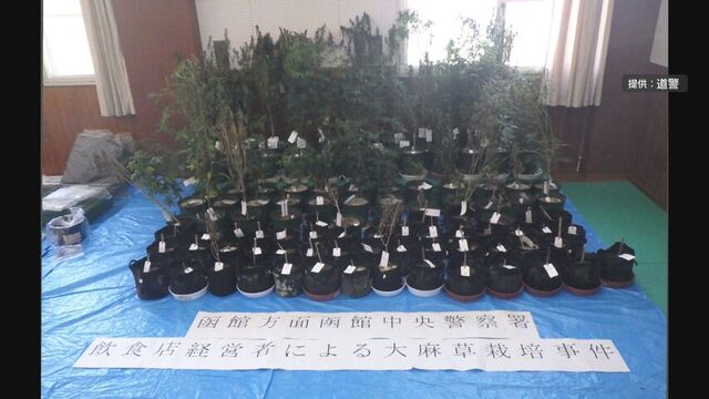 共同住宅で大麻栽培・所持か 乾燥大麻だけで末端価格515万円 飲食店経営３９歳の男逮捕 容疑の一部否認