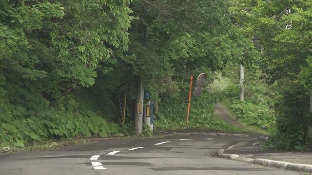 塾へ向かう途中に…クマ3頭を中学生が目撃　通りがかった車がクラクションで撃退、山へ走り去る　札幌 サムネイル