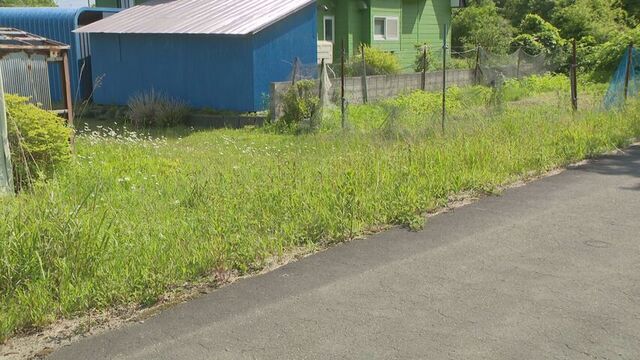 道路横断し住宅地へ…白老町でヒグマ出没 　町内3地区に屋内避難呼びかけ 　隣の苫小牧市では注意報 サムネイル