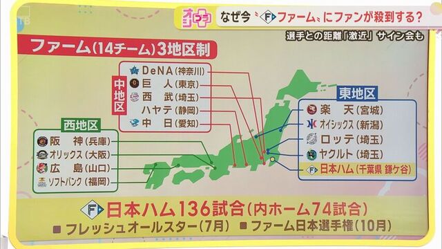 ２０２６年のファームリーグの詳細