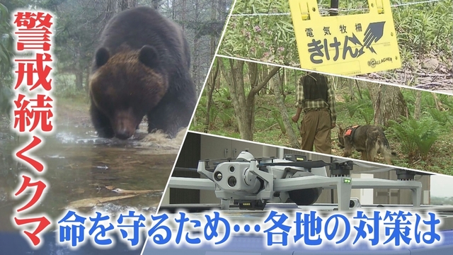 【ヒグマ最前線】「今年は好機…」猟犬ルーツのベアドッグにドローン等…各地の新たな対策は サムネイル