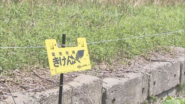 福島町の電気柵