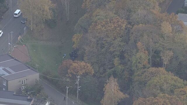 「もういいんじゃねと強く言ったのに、もっとやってと言われて」