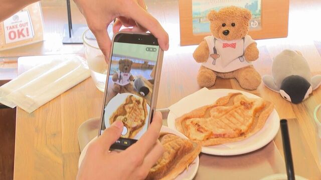 大人がハマる“ぬい活” 美術館のお泊り会にホテルの宿泊プランも 「ぬいぐるみは家族」人気のわけは? サムネイル