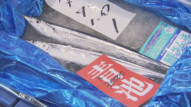 サンマ初物「妻と今夜、お刺身で」　棒受け網漁　初競り最高値1キロ3万円　札幌市中央卸売市場 サムネイル