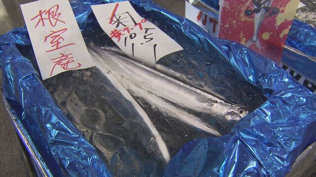 秋の味覚サンマ、主力の「棒受け網漁」が本格化　札幌の競りでは1キロ3万円！ サムネイル