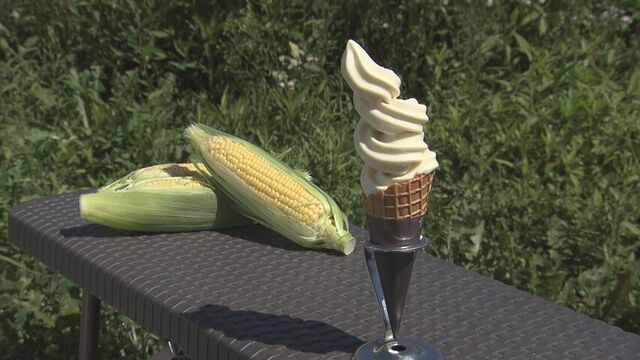 メロン級の甘さ！札幌の高橋ファームでトウモロコシづくしのカフェメニューが話題に サムネイル