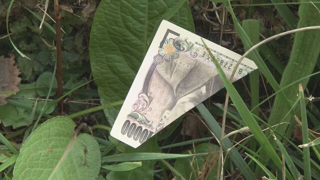 稚内市の公園で捨てられた大量の切り刻まれた「旧１万円札」…警察が回収し調べる