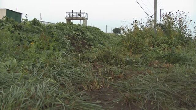 「バイクに追突した」　北海道当麻町の国道３９号で乗用車が原付バイクに追突　男性が重体　会社員の男逮捕