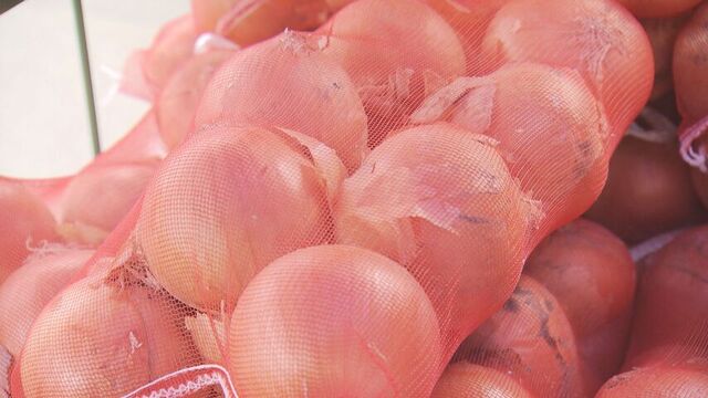 去年の半値ほどになったタマネギ