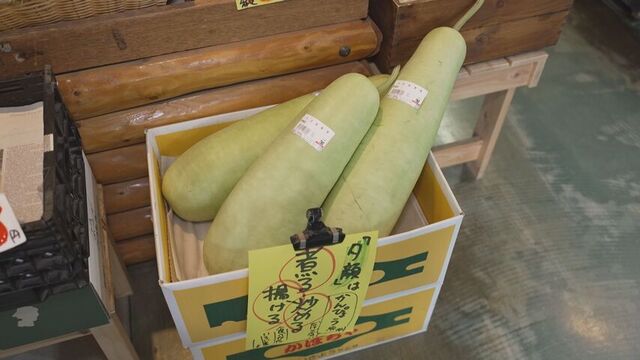 販売されている大きな夕顔