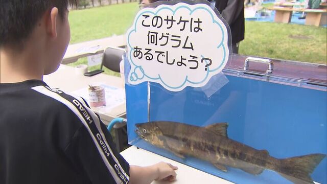「重たい！」　サケの生態や自然を学ぶ…毎年恒例の「さっぽろサケフェスタ」開催　札幌・豊平川さけ科学館