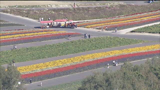 「あきあじ祭り」不漁のサケ90匹が30分で即完売！全国初の空港駐機場ロケット体験も…北海道のSW最終日