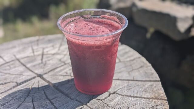 奥定山渓カムイの森の『生ジュース』