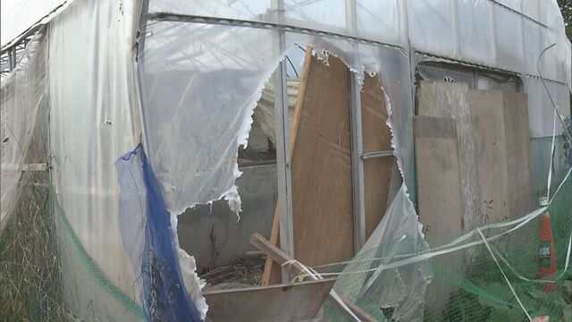 北海道岩見沢市の養鶏場をクマが再び食い荒らす…今年で5回目　札幌・円山動物園にはクマよけの電気柵