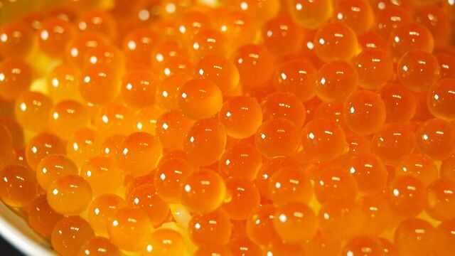 北海道の秋の醍醐味・イクラが道民も驚きの高値　秋サケの漁獲急減、不漁の去年よりさらに半減か
