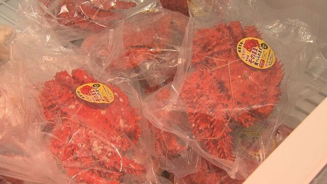 脂の乗った炭火サンマに旬の海の幸が勢ぞろい!札幌で人気イベント「まるごと根室直送市」スタート サムネイル