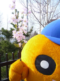 110414_1.jpg