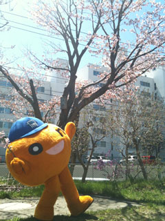 110512_1.jpg