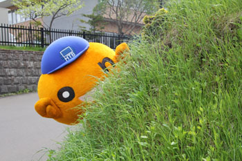 130603_4.jpg